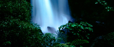 Trafalgar Falls, Dominica